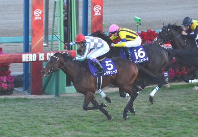 有馬記念2023年が完敗だった件 | tsuyoshi-oshita.com