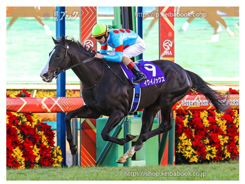 有馬記念が近づいてくると、競馬に対する気持ちが高まる件